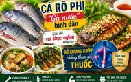 Loại cá được ví như “gà nước”, giá chỉ từ vài chục nghìn đồng/kg nhưng giàu dinh dưỡng, tốt cho xương khớp tuổi trung niên