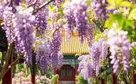 Tháng sinh Âm lịch của người có khí chất nổi bật, càng già càng giàu sang