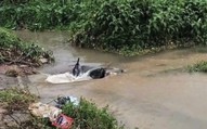 Vụ nam sinh rơi cống tử vong ở Hà Nội: Duy nhất một liên danh trúng thầu gần 200 tỷ với giá giảm 0%, hiện trường đau lòng 'tố cáo' những cam kết an toàn trên giấy
