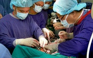 Gần 40 người xin hiến một phần phổi cứu phi công rất nguy kịch vì COVID-19