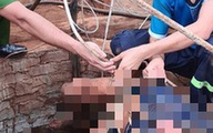 Tảo giếng bị ngạt khí, 2 người chết