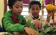 Học sinh thích thú khi giờ học là bắt sâu, là su hào, bắp cải, khoai tây...