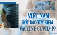 Việt Nam rốt ráo tìm kiếm vaccine COVID-19