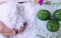 Đặt muối ở 3 vị trí này kích hoạt tài lộc, gia đình sung túc, phú quý ba đời