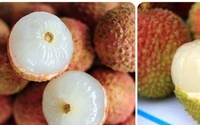 5 lưu ý quan trọng khi ăn quả vải để không gây hại sức khoẻ