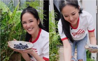 Hành trình vượt bạo bệnh của ca sĩ Hồng Nhung nhờ khu vườn trên cao và không gian 'chữa lành'
