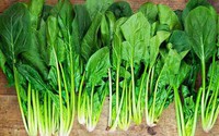 5 loại rau mùa đông giàu chất xơ tốt cho tiêu hóa