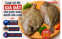 Loại cá dù giá đắt vẫn được nhiều người săn lùng nhờ tăng cường trí nhớ, sáng mắt, khỏe xương