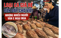 Loại cá giá rẻ bán đầy chợ Việt nhưng nhiều người vẫn e ngại mua