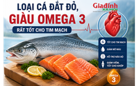 Loại cá đắt đỏ, giàu omega 3 rất tốt cho tim mạch