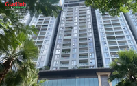 Diễn biến giá chung cư trục đường Hoàng Hoa Thám, Hà Nội khi tuyến đường sắt đô thị số 5 khởi động