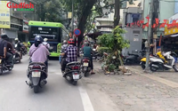 Bất ngờ trước giá tòa chung cư mini trục đường Hoàng Hoa Thám, Hà Nội khi tuyến đường sắt đô thị số 5 khởi động