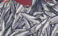 Loại cá siêu rẻ, bán đầy chợ Việt giàu omega3 không kém cá hồi