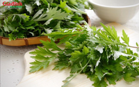 Loại rau giá rẻ như cho, bán đầy chợ Việt được mệnh danh là 'vua của các loại thảo mộc', vừa là rau vừa là vị thuốc quý