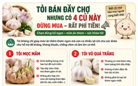Tỏi bán đầy chợ nhưng có 4 loại 'tưởng ngon mà hóa ra phí tiền': biết sớm để tránh mua nhầm