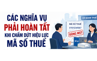 Người nộp thuế cần làm gì khi chấm dứt hiệu lực mã số thuế
