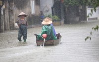 Sông Tích tràn bờ, dân ven đô Hà Nội chèo thuyền mua mì tôm, chăng lưới chắn rác trước nhà