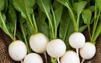 Lợi ích của củ cải trắng với sức khỏe, đặc biệt với người tiểu đường, viêm khớp