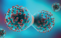 Loại củ ăn mùa đông làm ấm nóng cơ thể, người Việt nên ăn để ngăn ngừa tế bào ung thư