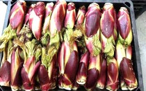 Thứ rau dại ở Việt Nam lại được xếp là “cao lương mỹ vị số 1 thế giới”, chế biến đơn giản cũng có món ngon bổ dưỡng