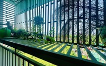 Cha mẹ cần phải dạy con bộ kỹ năng thoát hiểm khi có hỏa hoạn xảy ra, đặc biệt nhà gắn "chuồng cọp"
