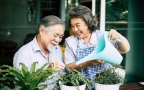 Tuổi già viên mãn: 3 điều vợ chồng càng lớn tuổi càng phải giữ