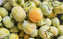 Tiêu thương ‘mách’ cách phân biệt hồng Đà Lạt và hồng Trung Quốc chỉ cần nhìn vào những đặc điểm này dễ dàng nhận ra