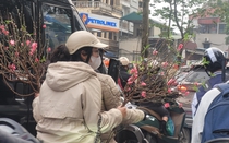 Chợ hoa Tân Mai ngày cận Tết: Đẹp rực rỡ, đông vui không khí ngập sắc Xuân