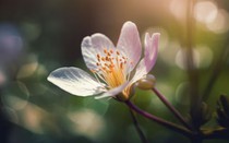 Giờ sinh Âm lịch của người dễ làm nên chuyện lớn khiến gia tộc nở mày nở mặt