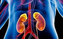 Người đàn ông suy thận giai đoạn cuối tránh được chạy thận nhờ 1 việc mà nhiều người Việt bỏ qua