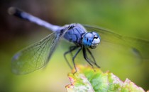 Tháng sinh Âm lịch tiết lộ đàn ông có phúc lớn: Cưới vợ càng sớm càng giàu, hậu vận viên mãn