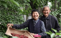 10 năm gửi tiền về quê báo hiếu cha mẹ, tôi sốc nặng khi thấy tài khoản chỉ còn 0 đồng