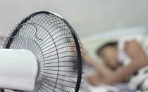 Bật quạt giải nhiệt mùa hè: 5 lỗi chí mạng 90% người Việt đang mắc phải