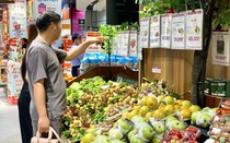 Vài u đầu mùa giá cả trăm nghìn đồng/kg nhưng vẫn ‘được lòng’ người tiêu dùng