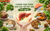 6 nhóm thực phẩm giúp gan 'dễ thở', cơ thể nhẹ nhõm hơn mỗi ngày