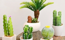 Đặt những cây này trước cửa phòng thờ: Đại kỵ rước xui xẻo hay rước tài lộc?