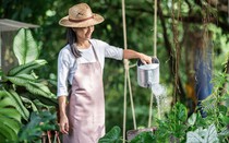 Sau tuổi 50, tôi mới nhận ra: Càng ngại từ chối, cuộc sống càng mệt mỏi