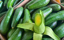 Loại bơ có hình dáng thuôn dài đang bán ngập thị trường có gì đặc biệt mà khiến nhiều người tiêu dùng không tiếc tiền mua