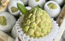 Loại na xưa để rụng đầy gốc nay giá đắt ngang hoa quả nhập khẩu, người tiêu dùng có tiền chưa chắc đã mua được 