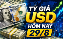 Tỷ giá USD hôm nay 29/8: Đồng Đô la Mỹ 'chợ đen' chững giá
