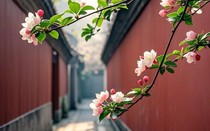 Ngày sinh Âm lịch của người có cuộc sống thuận lợi, dễ gặp người nâng đỡ