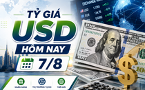 Tỷ giá USD hôm nay 7/8: Tỷ giá trung tâm tại Ngân hàng Nhà tiếp tục lập đỉnh