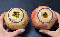 Mua lựu, nhớ 4 mẹo này để chọn quả mọng nước, hạt căng, hạn chế mua phải quả nhạt