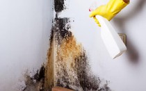4 mẹo xử lý chống ẩm mốc tường, sàn nhà sau mưa vừa nhanh vừa đỡ tốn kém