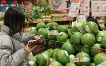 Những giống bưởi nào của Việt Nam đang được thị trường quốc tế ‘săn đón’?