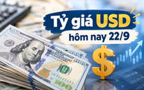 Tỷ giá USD hôm nay 22/9: Đồng Đô la Mỹ 'chợ đen' trầm lắng kéo dài