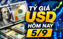 Tỷ giá USD hôm nay 5/9: Đồng Đô la Mỹ 'chợ đen' tiếp tục đi ngang
