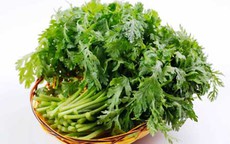 2 bài thuốc chữa đau đầu kinh niên cực hay từ cải cúc