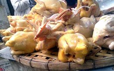 Phát hoảng với gà mía Trung Quốc luộc sẵn