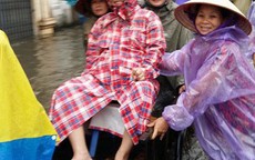 Hà Nội: Thai phụ ngồi xe bò... vượt biển nước đi đẻ